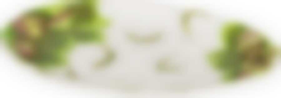 Блюдо овальное Артишок 37*22 см.высота=4 см.