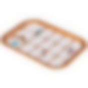 Поднос Paradise bird , 28,5х40 см