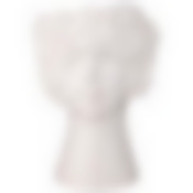 Ваза декоративная, 14.4*11.4*21.2cm