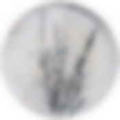 Тарелка десертная Provence 20см без упак.