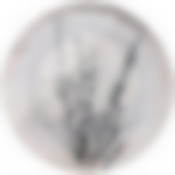 Тарелка обеденная Provence 25см без упак.