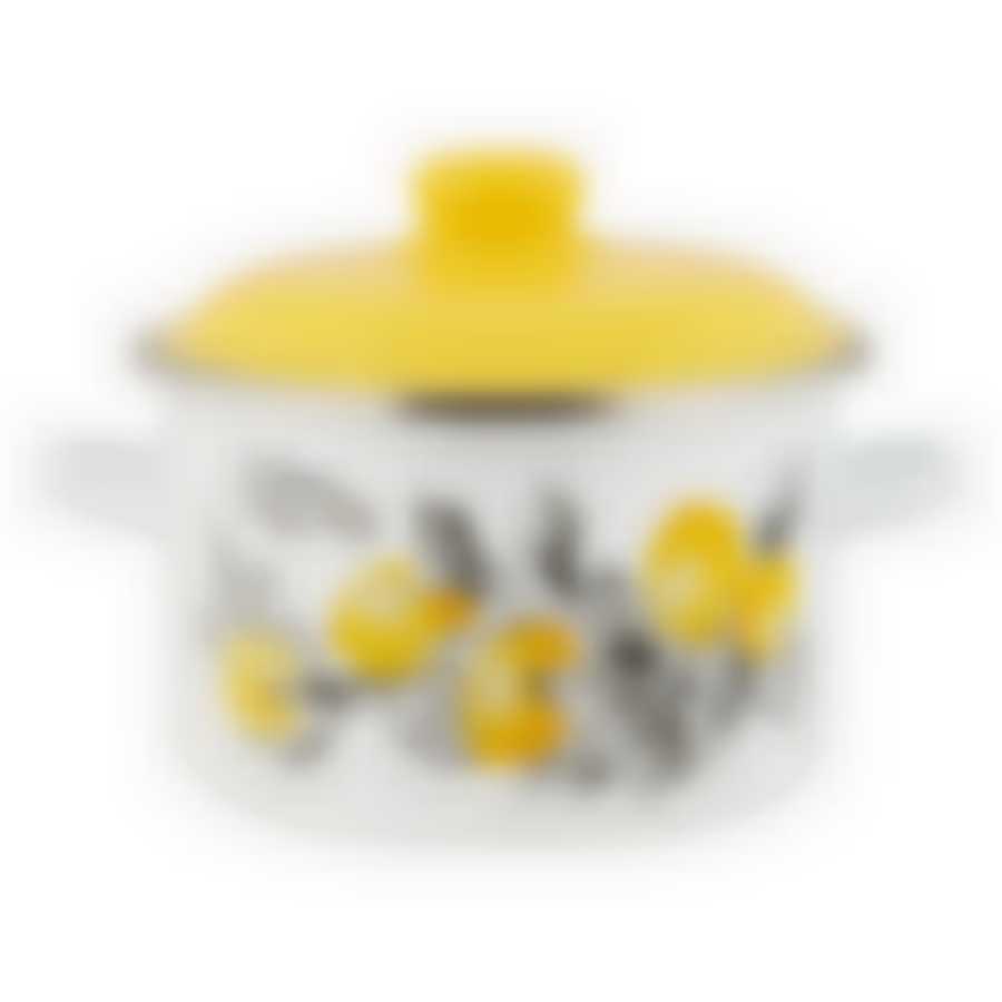 Кастрюля 2,0л цилиндрическая CITRON ТМ Appetite, 6RD161M