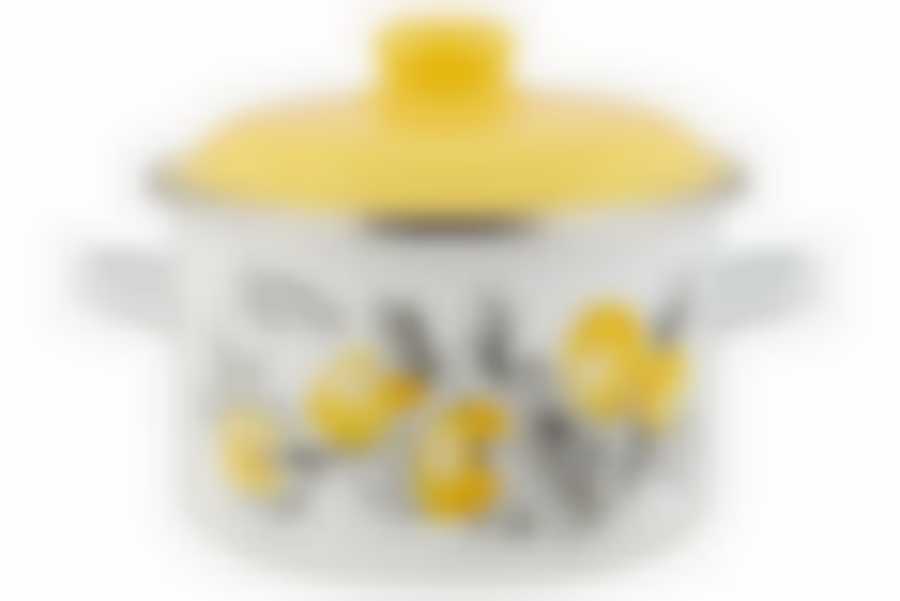 Кастрюля 3,0л цилиндрическая CITRON ТМ Appetite, 6RD181M