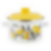 Кастрюля 5,5л цилиндрическая CITRON ТМ Appetite, 6RD221M