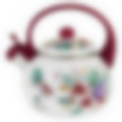 Чайник 2,0л Инжир ТМ Appetite, FT7-IN