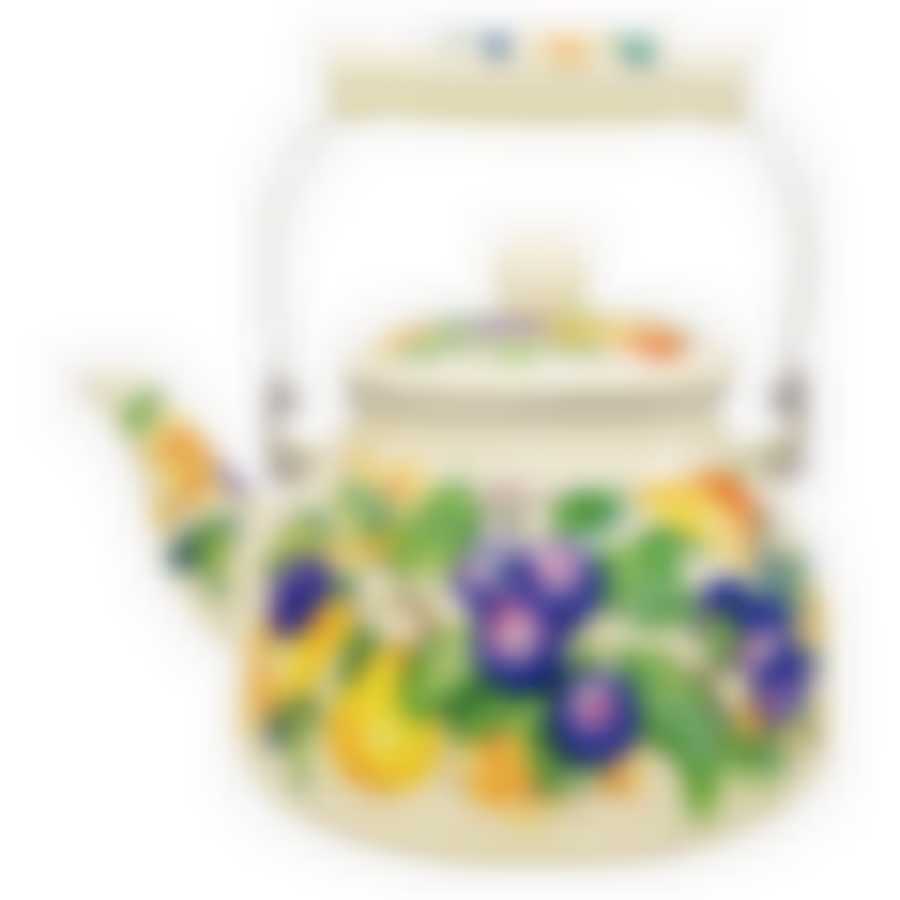 Чайник 2,5л Дюшес ТМ Appetite, FT5-2,5-DU