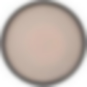 Тарелка Pro-style ivory 28см