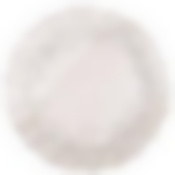 Тарелка Snow silver 21см