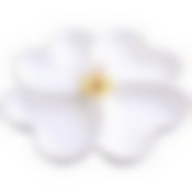 LR Менажница фарфор 4секц 29х29х4,5