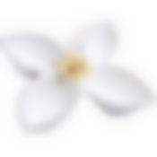 LR Менажница фарфор 4секц 19,5х19,5х4,5