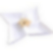 LR Менажница фарфор 4 секц 24х24х4