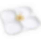 LR Менажница фарфор 4 секц 22х22х3,5