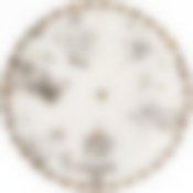 Тарелка обеденная lefard Wonderland 25,5 см 