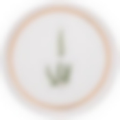 Тарелка закусочная lefard Grassland 20,5 см 