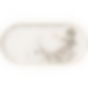 Блюдо овальное lefard Wonderland 30,5 см 