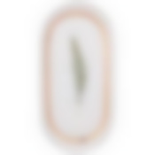 Блюдо овальное lefard Grassland 20,5 см 