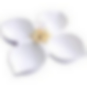 LR Менажница фарфор 4 секц 20х20х5