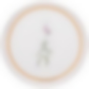 Тарелка закусочная lefard Grassland 20,5 см 