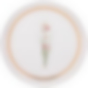 Тарелка закусочная lefard Grassland 20,5 см 