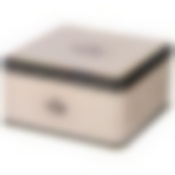 Емкость для хранения English breakfast , 19,8х19,8х10см, 3,7 л