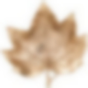 Блюдо декоративное Лист , 3х12,75х12,5см