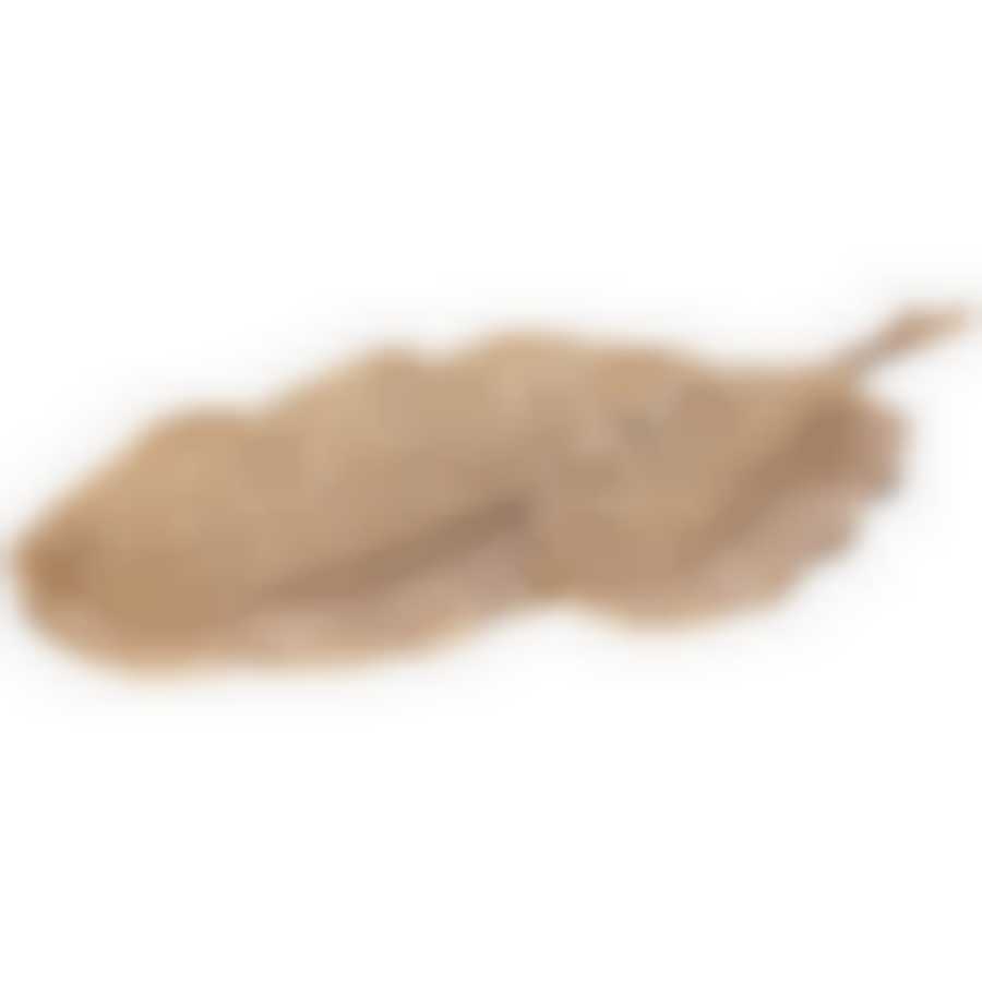 Блюдо декоративное Лист , 6х39х24см