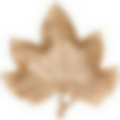 Блюдо декоративное Лист , 2х8,75х8,5см