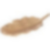 Блюдо декоративное Лист , 3х23,5х11см