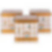 Набор емкостей для хранения Paradise bird из 3-х штук, 8х12х12 см, 1л