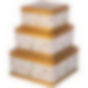 Набор емкостей для хранения Paradise bird из 3-х штук, 1,9л/3,7л/5,8л