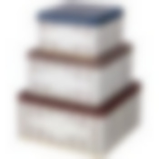 Набор емкостей для хранения Elegance из 3-х штук, 1,9л/3,7л/5,8л