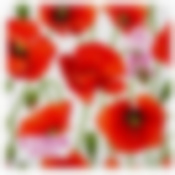 Салфетки бумажные Лилия "Красные маки". Размер 33х33 см.  2-хслойные. 20 листов NEW