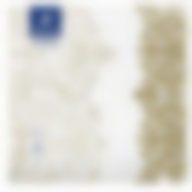 Салфетки бумажные  Pero Prestige "Версаль". Размер 33х33 см.  3-хслойные. 20 листов NEW