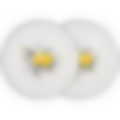 Набор тарелок закусочных lefard Kitchen passions 2 шт. 21*1,8 см 