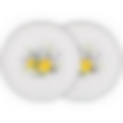 Набор тарелок десертных lefard Kitchen passions 2 шт. 16*1,5 см 