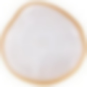 Тарелка сервировочная Bohemia white 21см