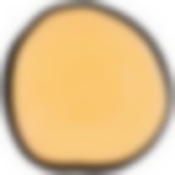 Тарелка сервировочная Bohemia gold 21см