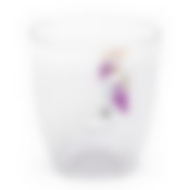 Кашпо для орхидеи 2,5л (диам.160мм)(прозрачный)