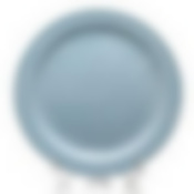 Тарелка мелкая ф.Принц диам.220 мм Акварель (голубой) 1 сорт