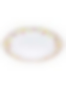 Тарелка обеденная "ЭЛЬЗАС" 24 см (6/36)