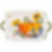 Блюдо agness Урожай 23,5*14*2,5 см 