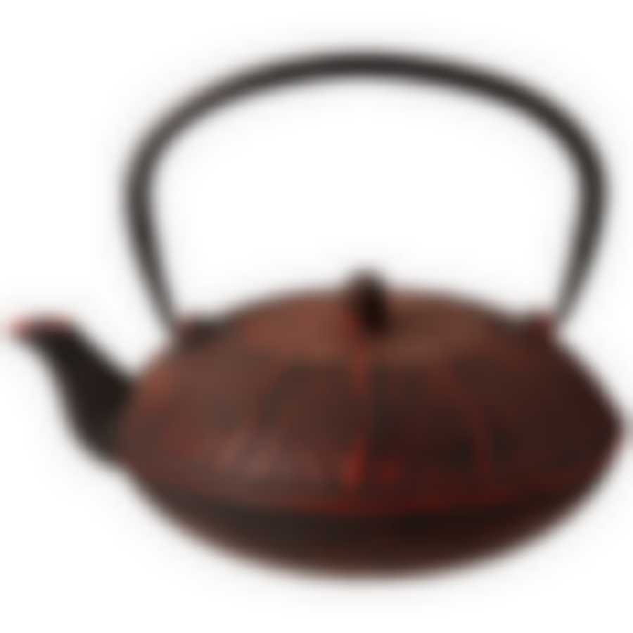 Заварочный чайник чугунный с эмалированным покрытием внутри 800 мл