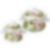 Набор кастрюль agness эмалированных серия Фруктовая корзина , 4пр. 1,5л и 2,8л, 16х10см, 20х12см