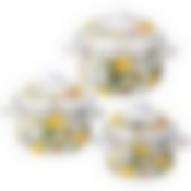 Набор кастрюль agness эмалированных серия Фруктовая корзина , 6пр. 1,5/2,8/3,6л,16х10/20х12/22х13см