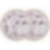 Набор тарелок закусочных lefard Compliment 2 шт. 19 см 