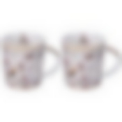 Набор кружек lefard Compliment 2 шт. 350 мл 