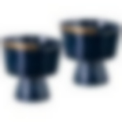 Набор креманок lefard Herbal 2 шт. 10*10 см 240 мл синий 