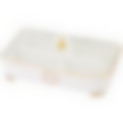 Менажница lefard Herbal 4 секции 31*22*11 см со стеклянной крышкой 