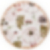 Тарелка закусочная lefard Village 22,3 см 