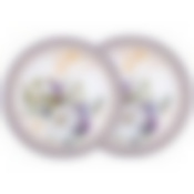 Набор тарелок закусочных lefard Compliment 2 шт. 19 см 